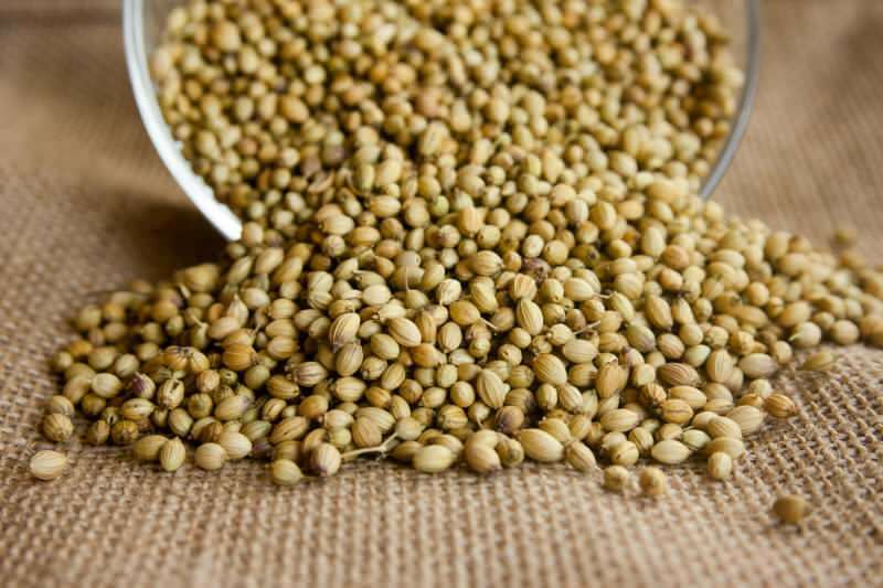Koje su prednosti sjemena korijandera? Kako koristiti korijander? Što radi korijandrovo ulje?