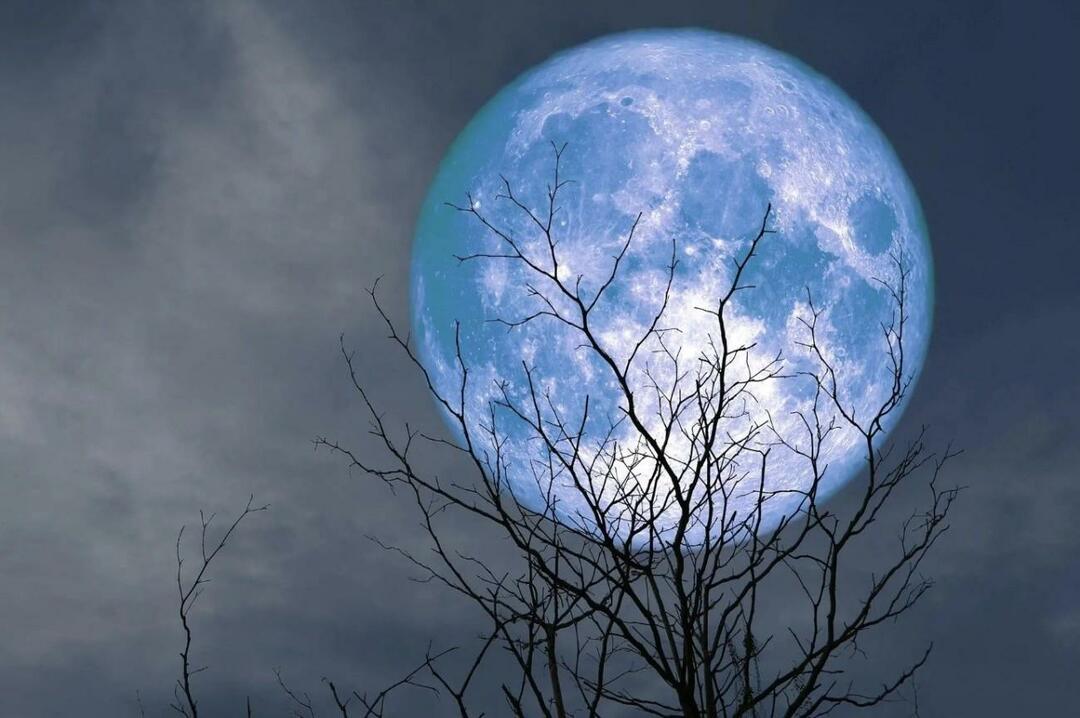 Što je Blue Moon