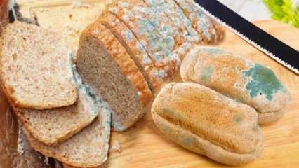 Kako spriječiti pljesniv kruh u ramazanu? Kako spriječiti da kruh postane ustajao i pljesniv