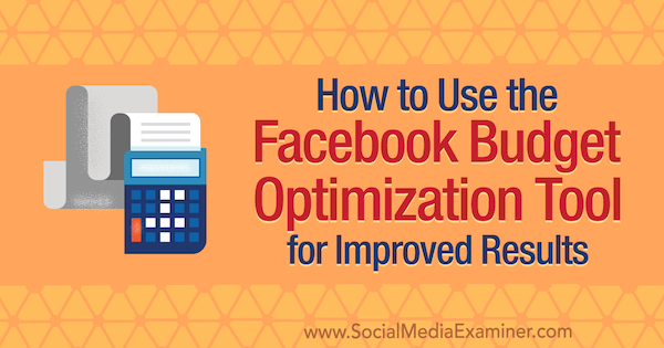 Kako koristiti Facebook alat za optimizaciju proračuna za poboljšane rezultate, Meg Brunson, ispitivač društvenih mreža.