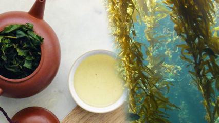 Koje su prednosti mahovine? Kako napraviti čaj od morskih algi i u čemu je dobar?
