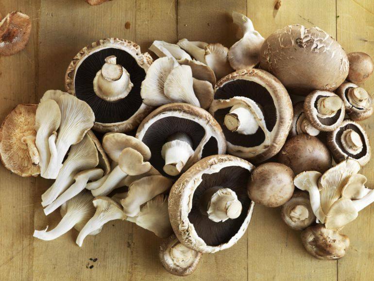Trikovi koje treba znati kada kuhate gljive