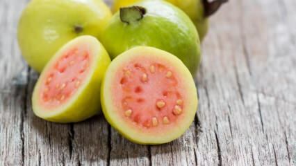 Što je voće Guava? Koje su prednosti?