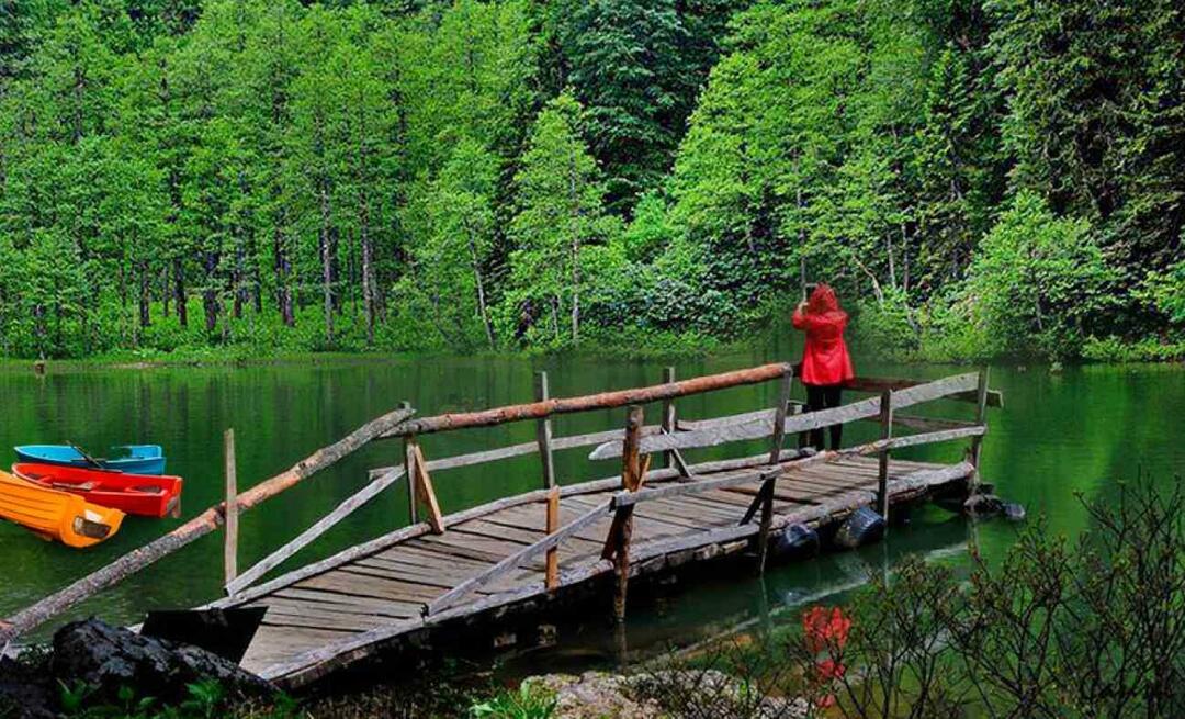 Gdje je Artvin? Gdje ići u Artvinu? Koja su mjesta za posjetiti u Artvinu?