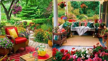 Cvijeće koje u jesen možete koristiti u svojim vrtovima i balkonima!