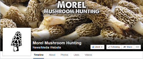 Lov na gljive Morel