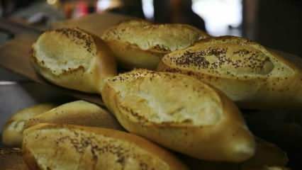 Kako se ocjenjuje ustaljeni kruh? Recepti napravljeni od ustajalog kruha