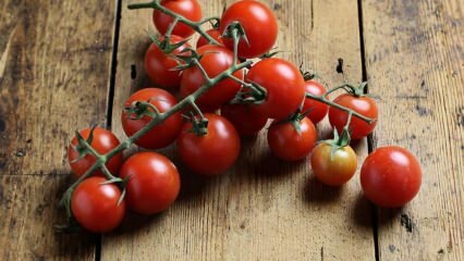Kako spriječiti trulež rajčice? Kako spriječiti paradajz moljac? 