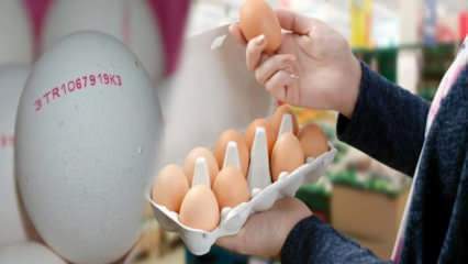 Kako se razumije organsko jaje? Što znače kodovi jaja?