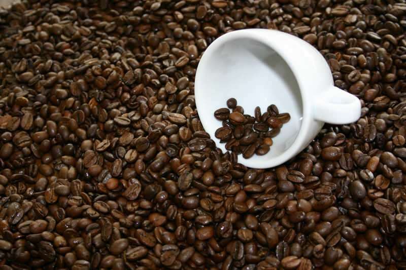 Gdje kupiti kvalitetna zrna kave