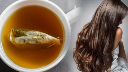 Koje su prednosti zelenog čaja za kosu? Recept za masku od zelenog čaja od kože