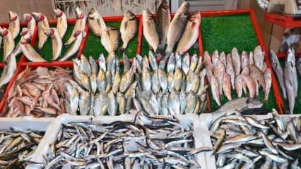 Kako ukloniti toničnu ribu? Trikovi kako izvući toric ribu