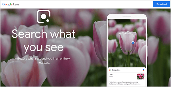 Ovo je snimka zaslona web mjesta Google Lens. Na vrhu web mjesta pojavljuje se bijela traka. S lijeve strane nalazi se naziv Google Lens. S desne strane nalazi se plavi gumb za preuzimanje. Glavno područje web stranice ima pozadinu fotografija koja prikazuje cvjetanje različitih ružičastih tulipana. S lijeve strane, iznad pozadinske slike, pojavljuje se bijeli logotip Google Lens-a zajedno sa sljedećim tekstom: "Pretražite ono što vidite" i "Istražite ono što vas okružuje na potpuno nov način". S desne strane, simulacija pametnog telefona prikazuje aplikaciju Google Lens koja identificira tulipan. Mike Rhodes kaže da je Google Lens primjer umjetne inteligencije.