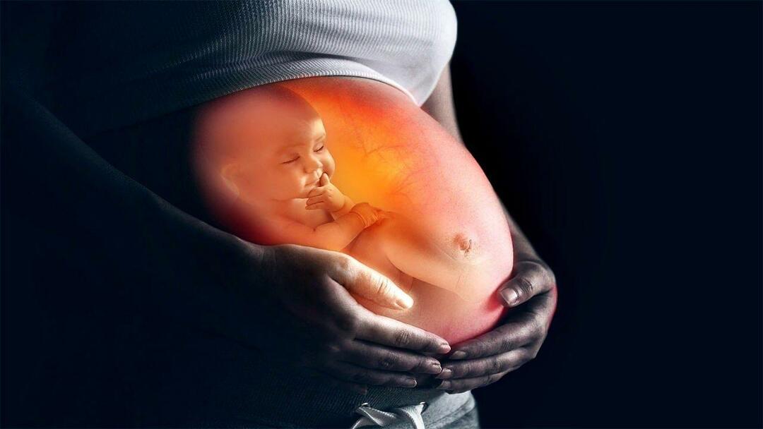 Kako bebe dobivaju hranjive tvari od majke tijekom trudnoće? Kako hraniti bebu u maternici od majke