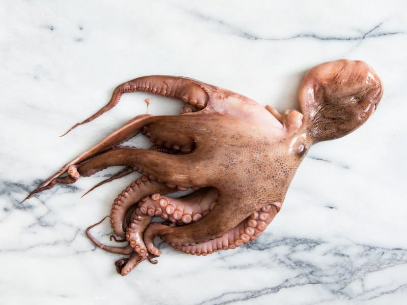 Kako očistiti i kuhati hobotnice kod kuće? Najlakša tehnika kuhanja hobotnice