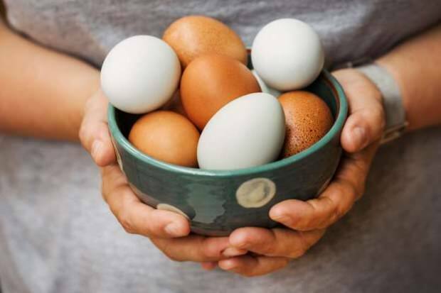 Kako se vrši analiza organskog jaja?