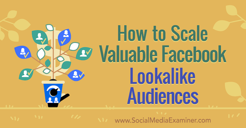 Kako skalirati vrijednu Facebook sličnu publiku, Yahav Hartman, na Social Media Examiner.