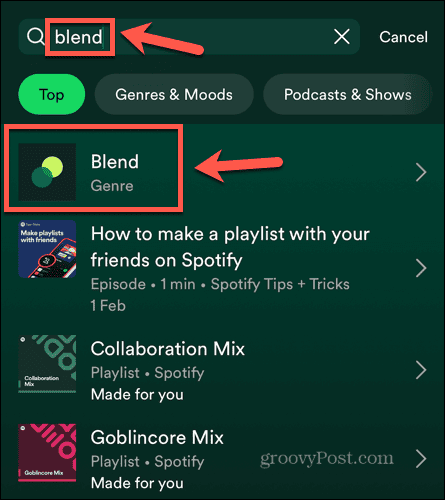 spotify blend žanr