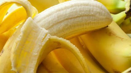 Šteta od banane