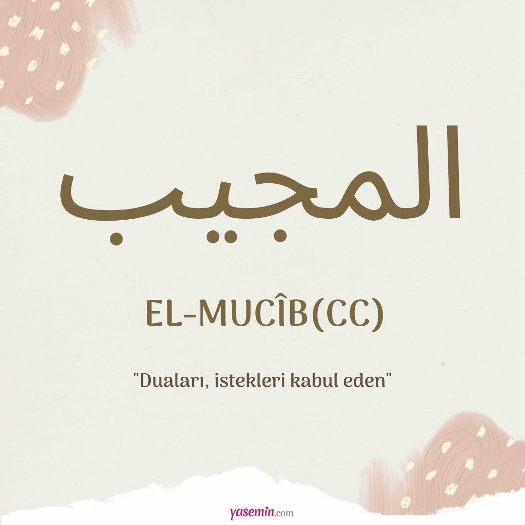 Šta znači al-Mujib (cc)?