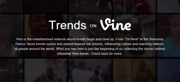 trendovi na vinovoj lozi