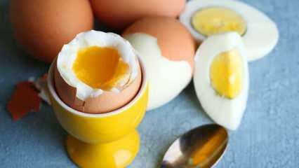 Kakvi su učinci jedenja 2 jaja u sahuru svaki dan na tijelo?