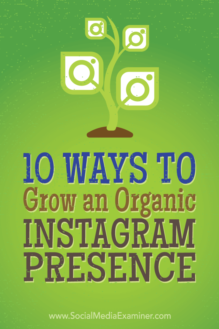 Savjeti o 10 taktika koje su najprodavatelji koristili kako bi organsko stekli više Instagram sljedbenika.