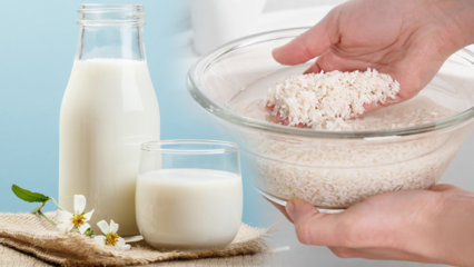 Kako pripremiti rižino mlijeko za sagorijevanje masti? Metoda mršavljenja s rižinim mlijekom