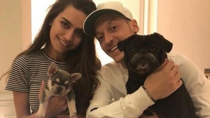 Mesut Özil slavi rođendan svoje zaručnice Amine Gülşe