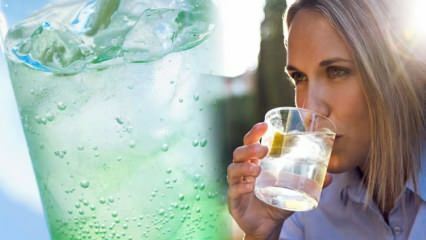Slabi li mineralna voda limuna? Ciklus mršavljenja s mineralnom vodom