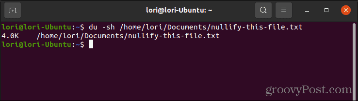 Korištenje naredbe du za provjeru veličine datoteke u Linuxu