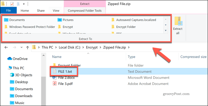 Izdvajanje pojedinačne datoteke iz Zip datoteke u programu Windows File Explorer