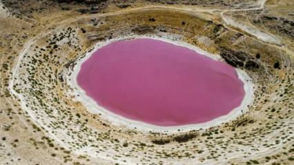 Boja jezera Meyil Obruk postala je ružičasta!