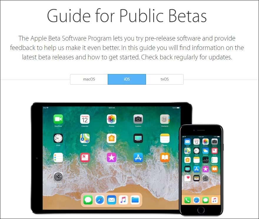 Appleov vodič za javne beta verzije