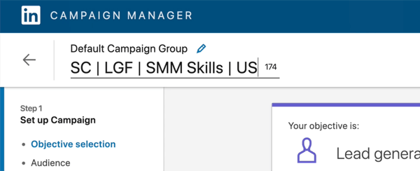 snimka zaslona naziva kampanje u LinkedInu uređena da kaže "SC | LGF | SMM vještine | NAS