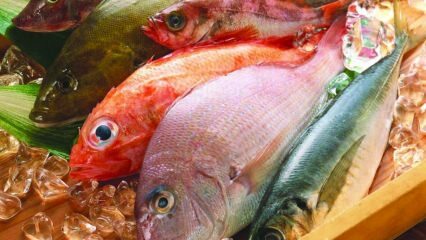 Koje su prednosti ribe? Kako konzumirati najzdraviju ribu?