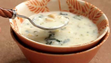 Što je juha od duge i kako se priprema juha od duge? Recept za juhu od dovge kod kuće