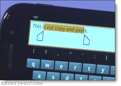 Snimka zaslona za kopiranje medenjaka od medenjaka