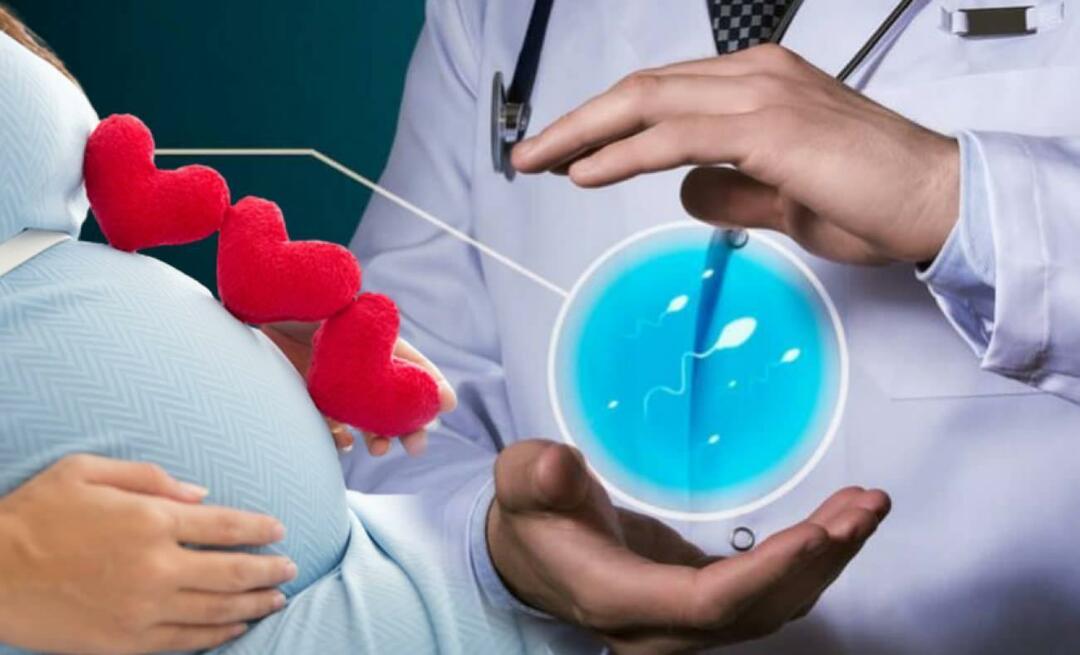 Nova metoda u liječenju neplodnosti: Terapija matičnim stanicama kod ženske neplodnosti!