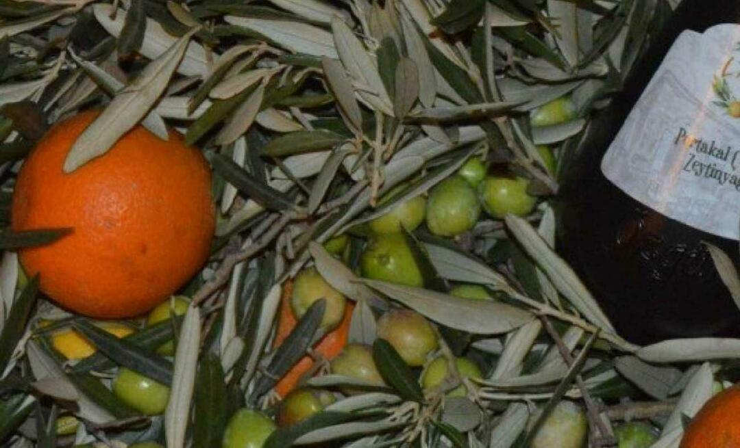 Poduzetnice iz Balıkesira proizvele narančasto maslinovo ulje!