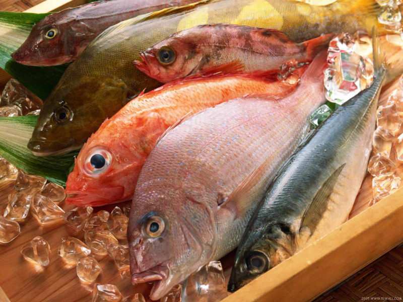 Savjeti za odabir svježe ribe od žirija Masterchefa Mehmeta Chefa