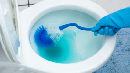 Kako očistiti WC školjku? 