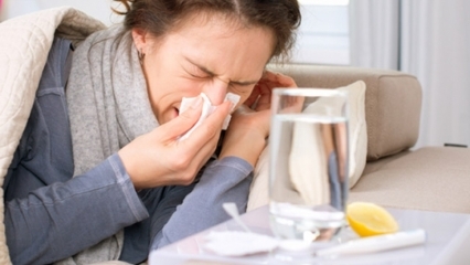 Koje su namirnice dobre za prehladu i gripu? 5 namirnica koje sprečavaju gripu ...
