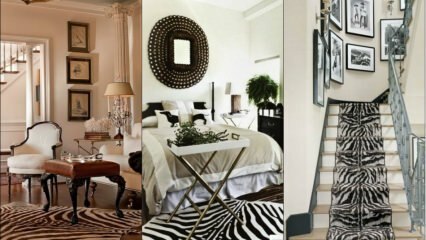 Zebra moda u uređenju doma