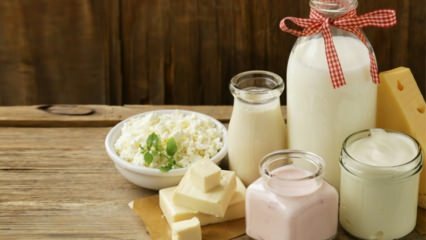 Praktične metode za pohranu mliječnih proizvoda