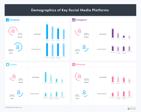 demografija socijalnih medija