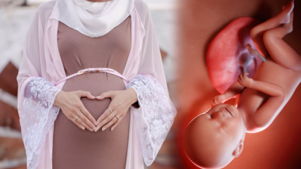 Molitve za recitovanje zdravlja djeteta tijekom trudnoće i dhikr esmaül hüsna
