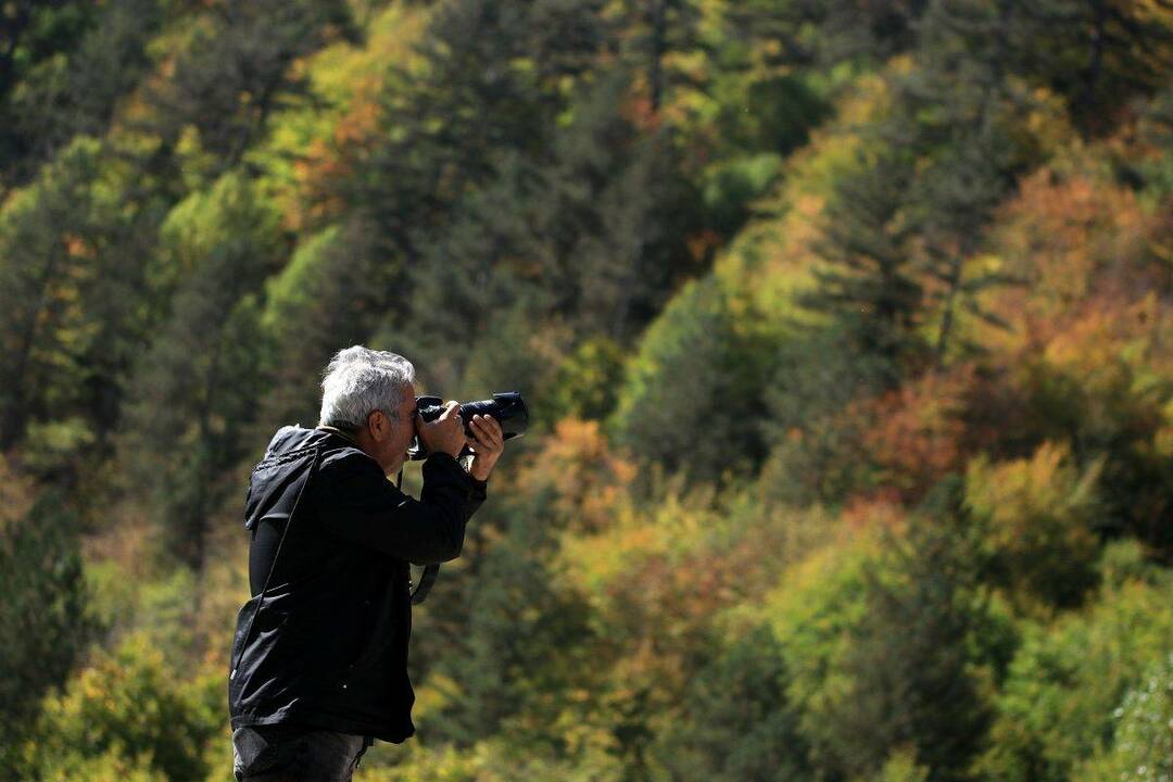 Planina Ilgaz: Sve boje jeseni su ovdje