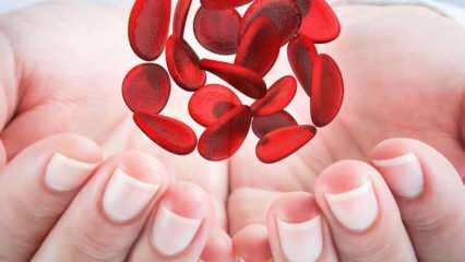 Što je mediteranska anemija (talasemija)? Koji su simptomi mediteranske anemije? Mediteransko liječenje anemije