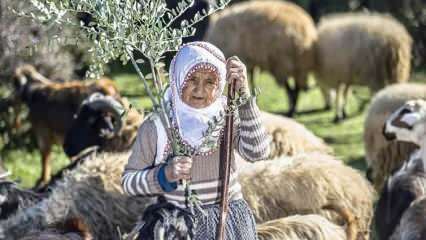 Teta Fatma je pastir u podnožju planina Amanos već pola stoljeća!